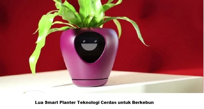 Lua Smart Planter Teknologi Cerdas untuk Berkebun